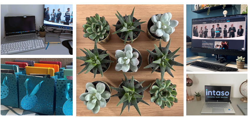 Collage of images showing plants, gift bags, and plants on desks